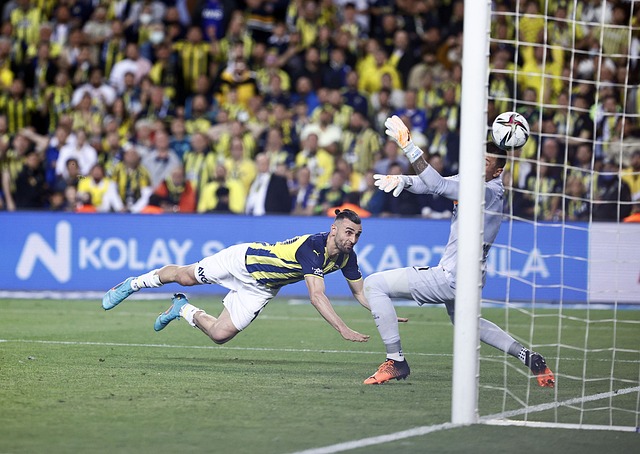 伦敦奥运马术冠军与爱马同日安乐死：二十载相伴书写辉煌传奇