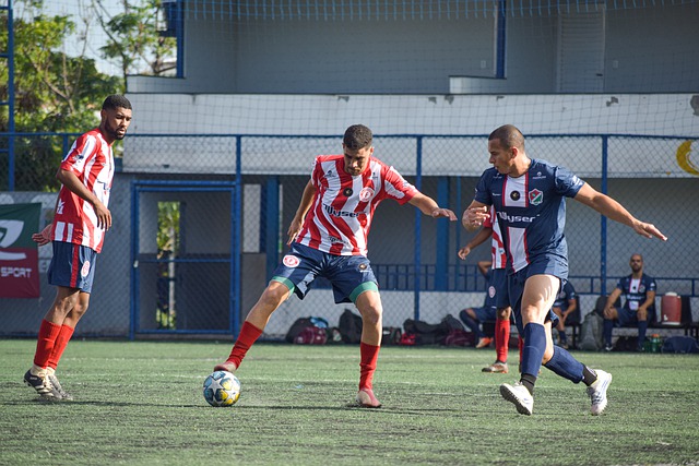 来的夏季转 来的夏季转