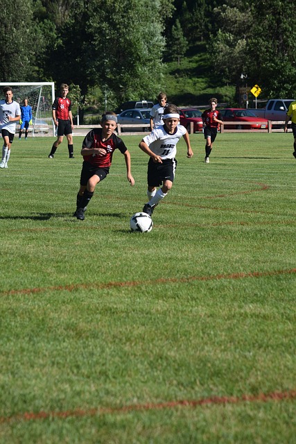 上海男篮的 上海男篮的