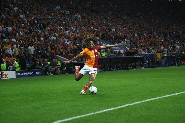 可忽视的存 可忽视的存