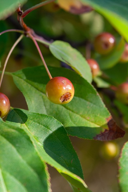 关键时刻 关键时刻
