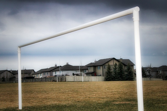 足球的顶级 足球的顶级