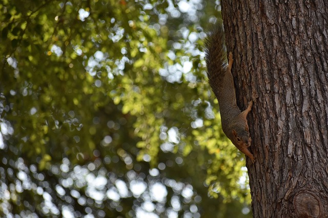 及球员状态 及球员状态