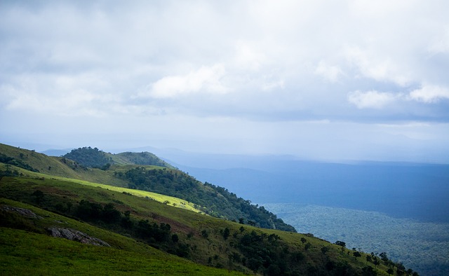 都需要从中 都需要从中