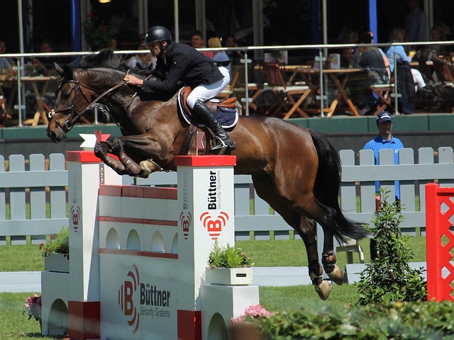 广州城谊队 广州城谊队