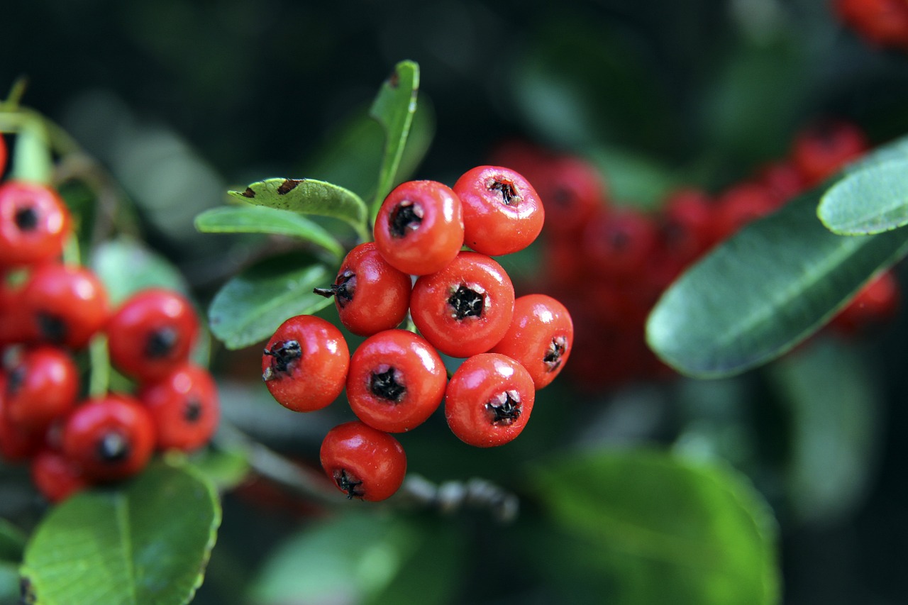 关于天津津 关于天津津