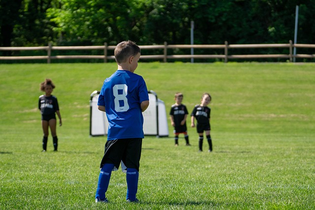 看点与讨论 看点与讨论