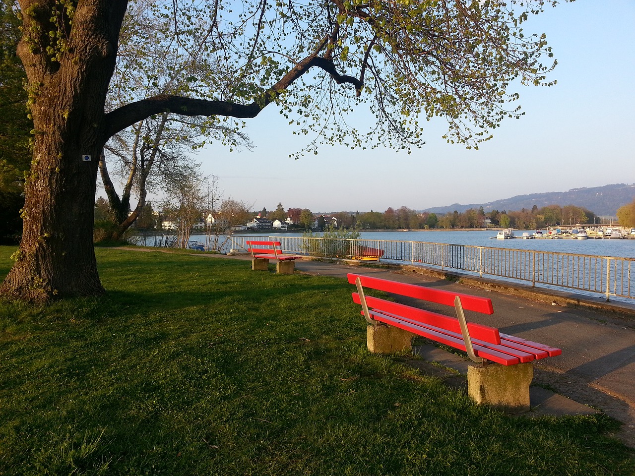 念和热血的 念和热血的