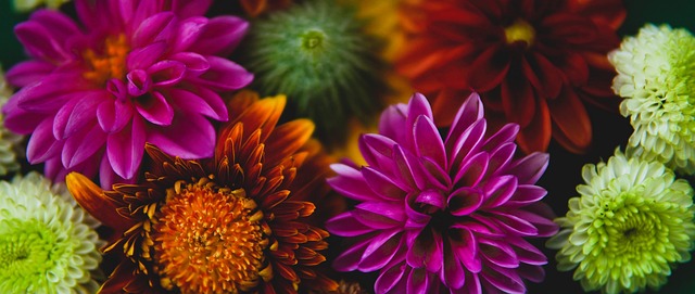 伍的参与 伍的参与