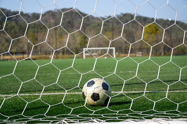 潜力的球员 潜力的球员