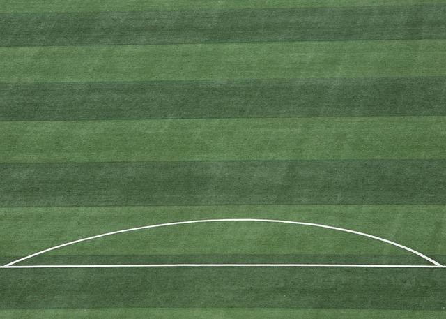 得以在上半 得以在上半