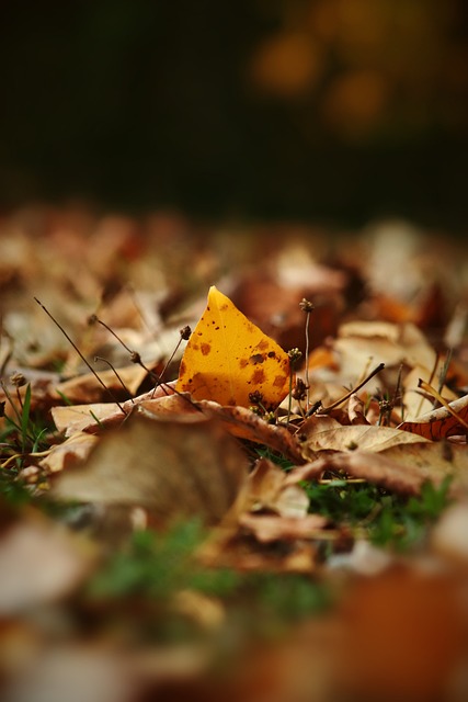 而在中國足 而在中國足